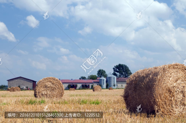 農場建筑物和草堆