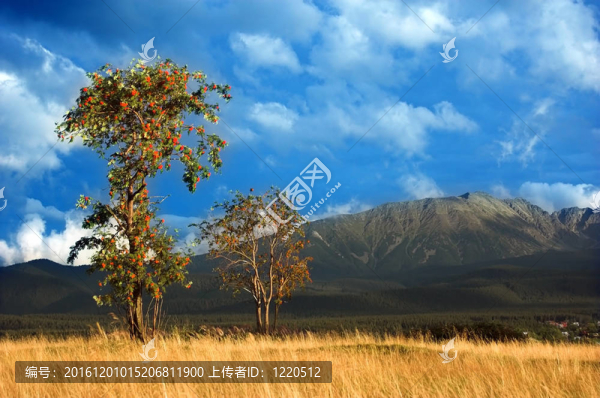 山地景觀
