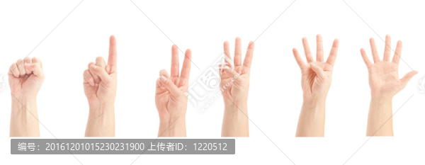 計算人的手（0至5）孤立在白色背景