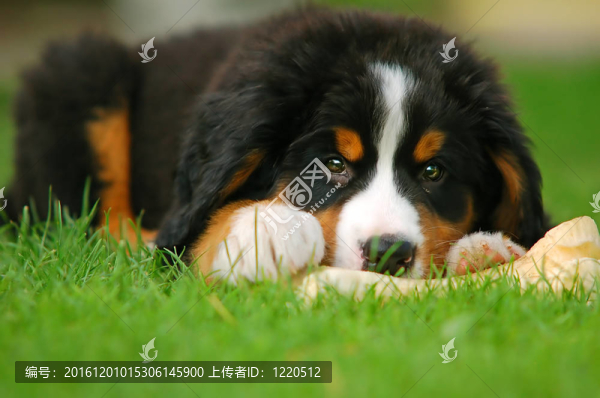 一個信任的朋友