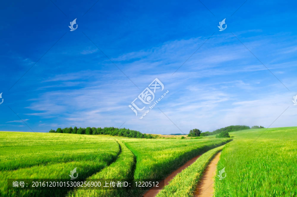 夏天的風(fēng)景