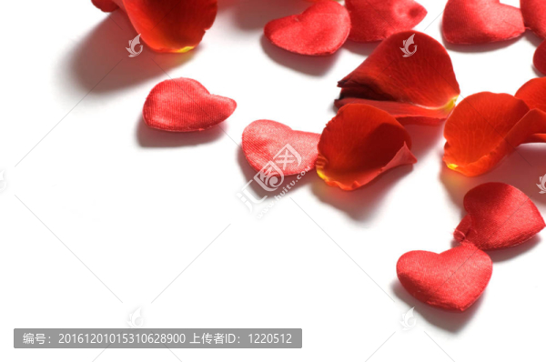 白色背景上的玫瑰花瓣和心形
