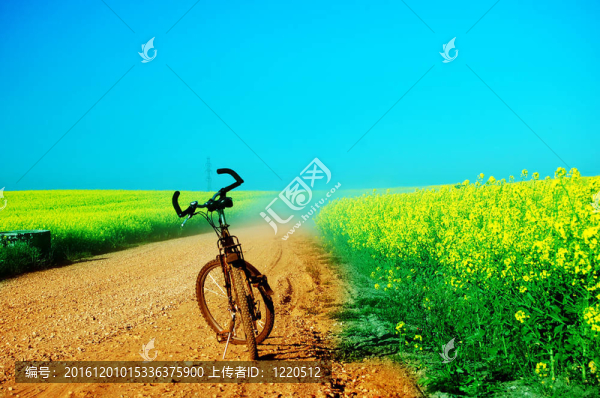 夏季自行車旅行