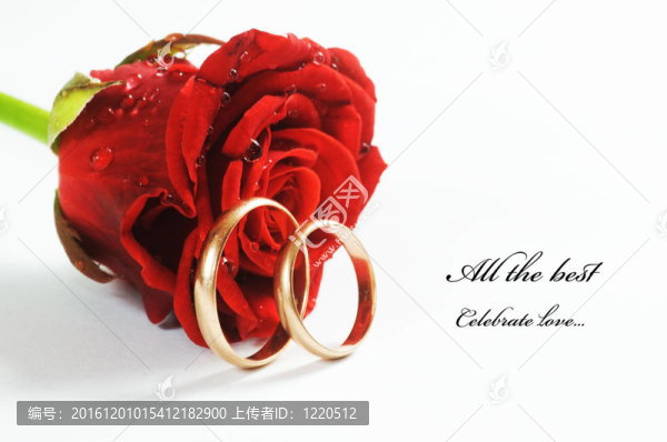 紅玫瑰和結婚戒指