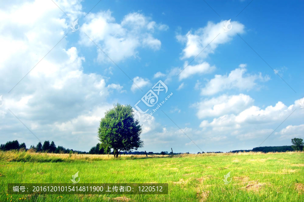 春天的風(fēng)景