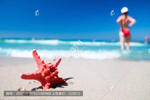 熱帶海灘上的海星