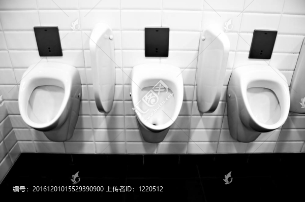 公共廁所的便池