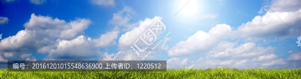 夏季景觀全景