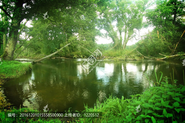 夏天的風(fēng)景