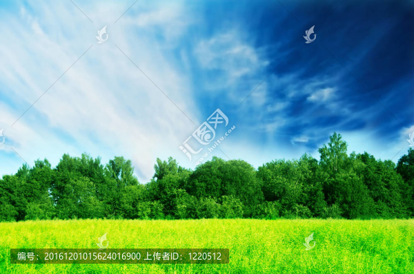 清新的綠泉景觀