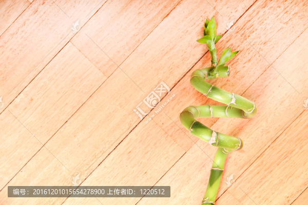 竹棒