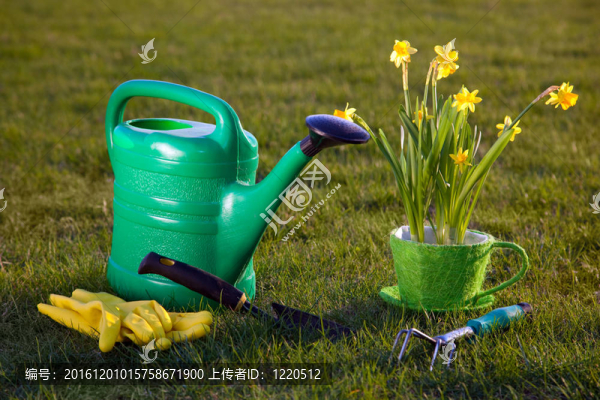 園藝工具和花卉