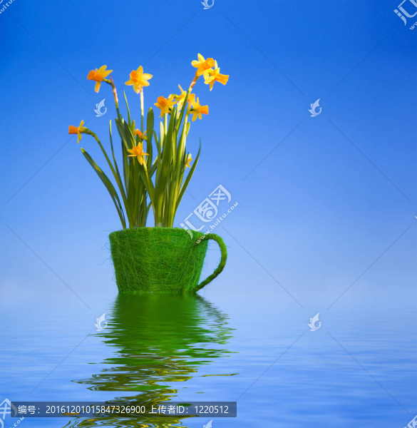 水在花盆里的花