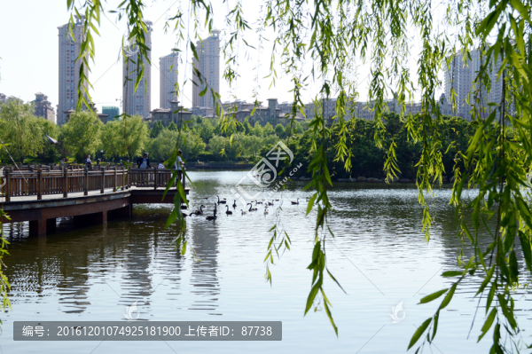 秦皇島建筑