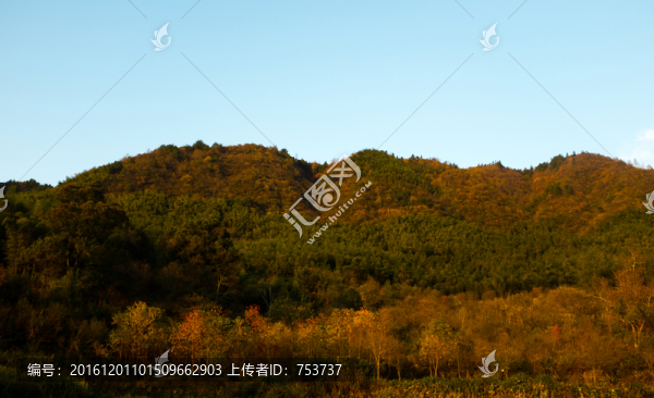 山林秋色