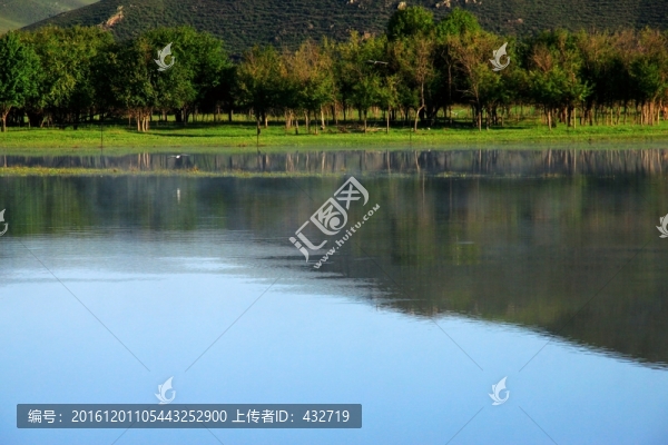 濕地夏季清晨