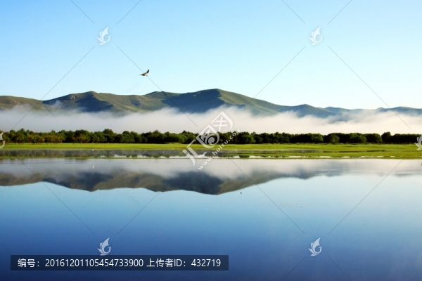 濕地夏季清晨