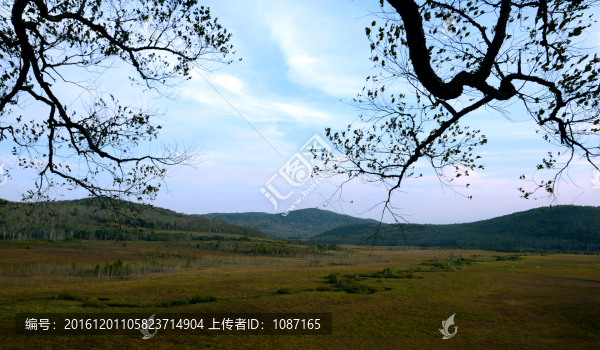 濕地風(fēng)光