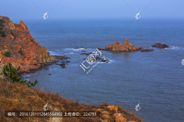 大海礁石