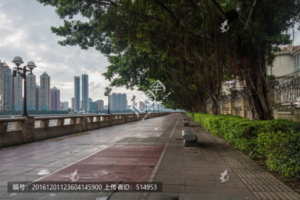 珠江大道