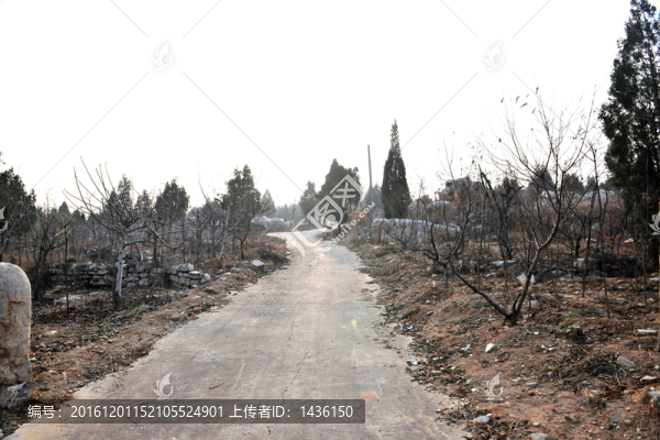 鄉(xiāng)村旅游,,地貌