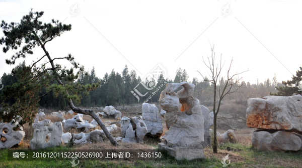 石頭園林,,,地質(zhì)奇觀
