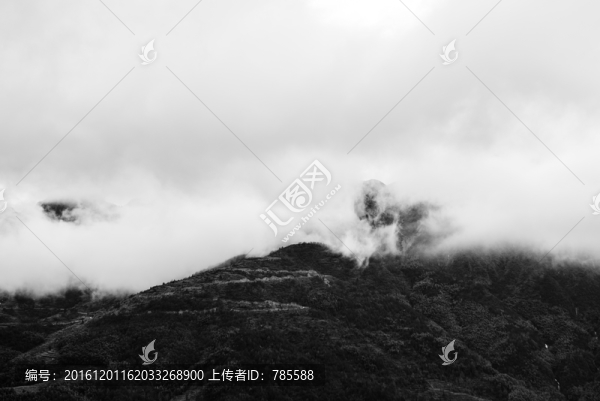 雁蕩山云霧