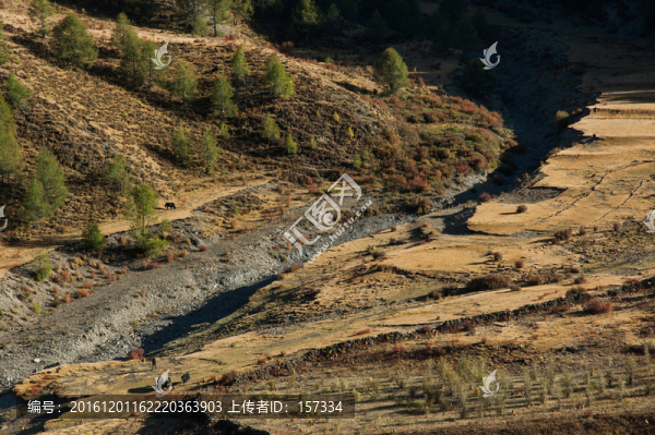 四川,稻城,高原風(fēng)光