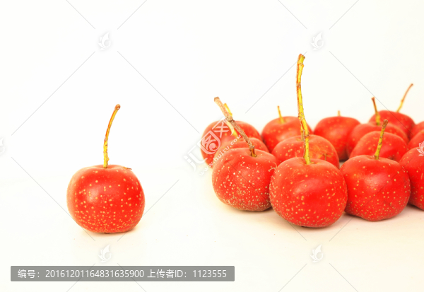 山楂