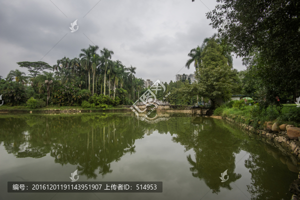 植物園