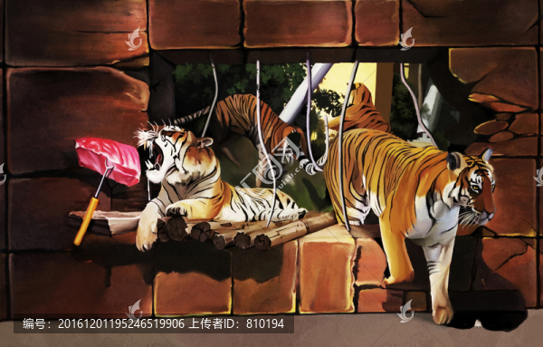 猛獸喂食