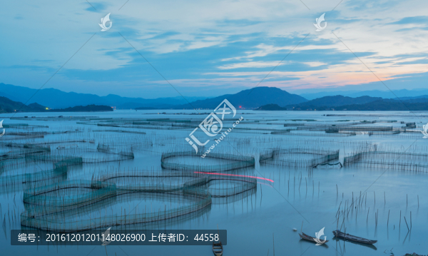 圍網(wǎng)