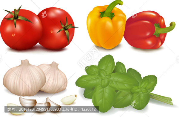 大五顏六色的蔬菜集團(tuán)