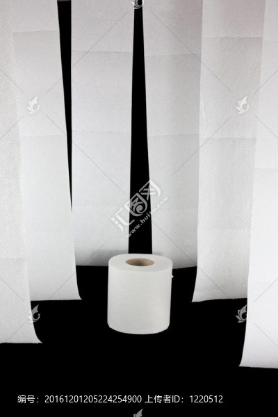 一種帶有一卷的掛衛(wèi)生紙