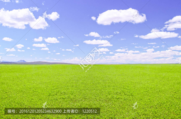 綠色的田野