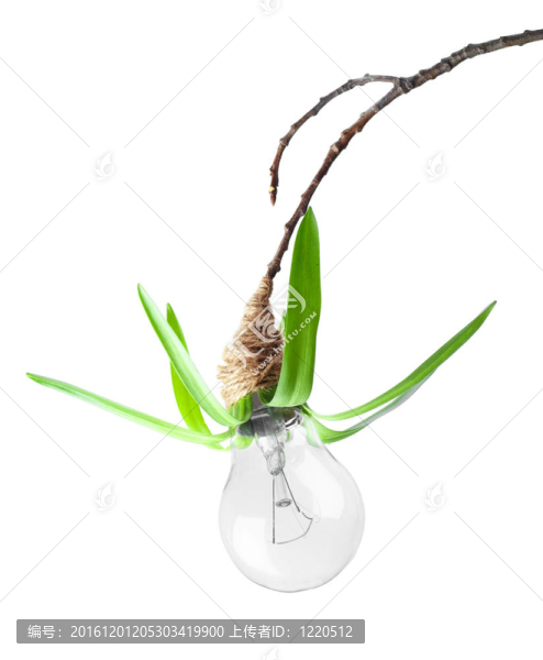 樹(shù)上草生態(tài)燈