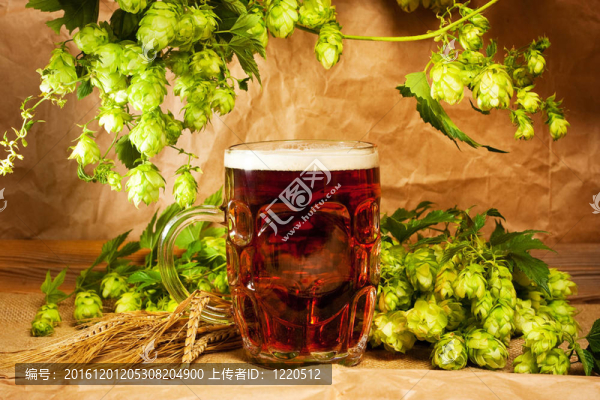 在解雇靜物啤酒和跳