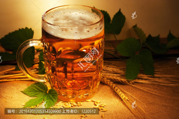 在解雇和環(huán)境光線的小麥和跳靜物啤酒