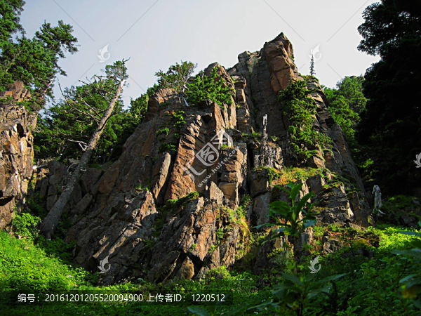 山上的風(fēng)景-匯圖網(wǎng) www.fosd68.com 山上的風(fēng)景