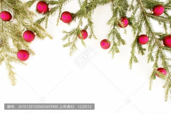 小杉