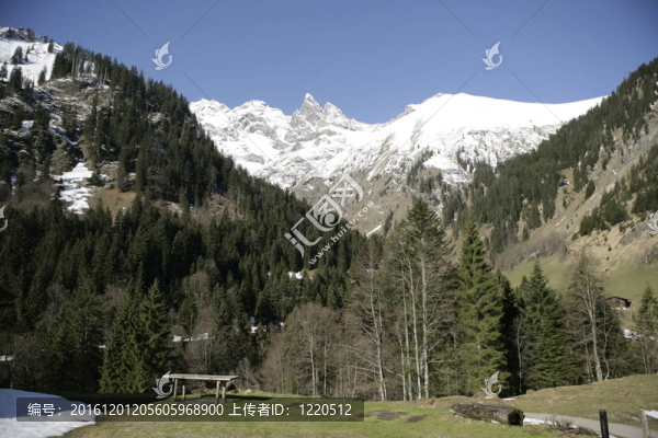 山