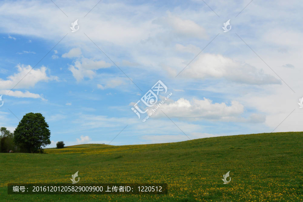 夏天