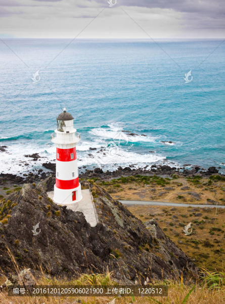 新西蘭斯?fàn)柦菬羲? title=