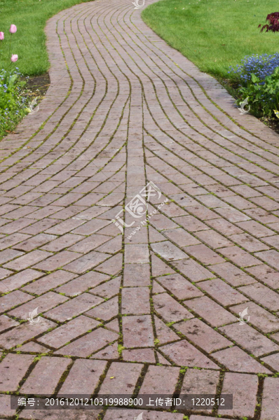 蜿蜒曲折的花園路徑