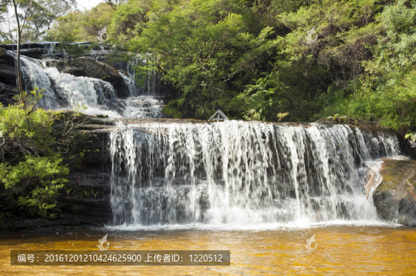 Wentworth,Falls；藍山
