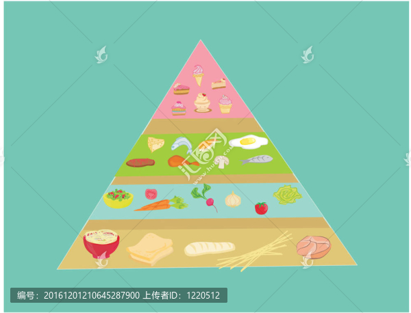 向量中的食物金字塔