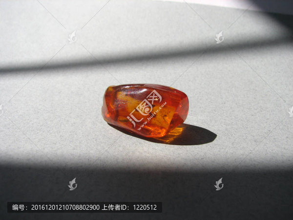 安伯和蚊子