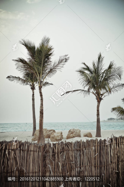 復(fù)古風(fēng)格的熱帶海灘