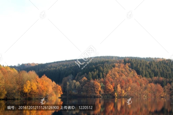 秋湖自我隔離