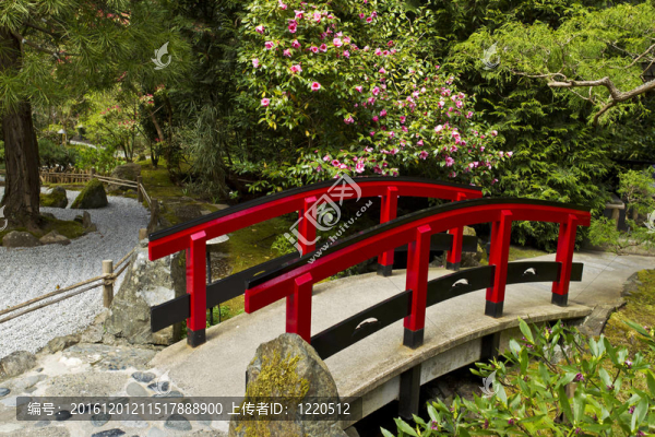 日本花園與紅色橋